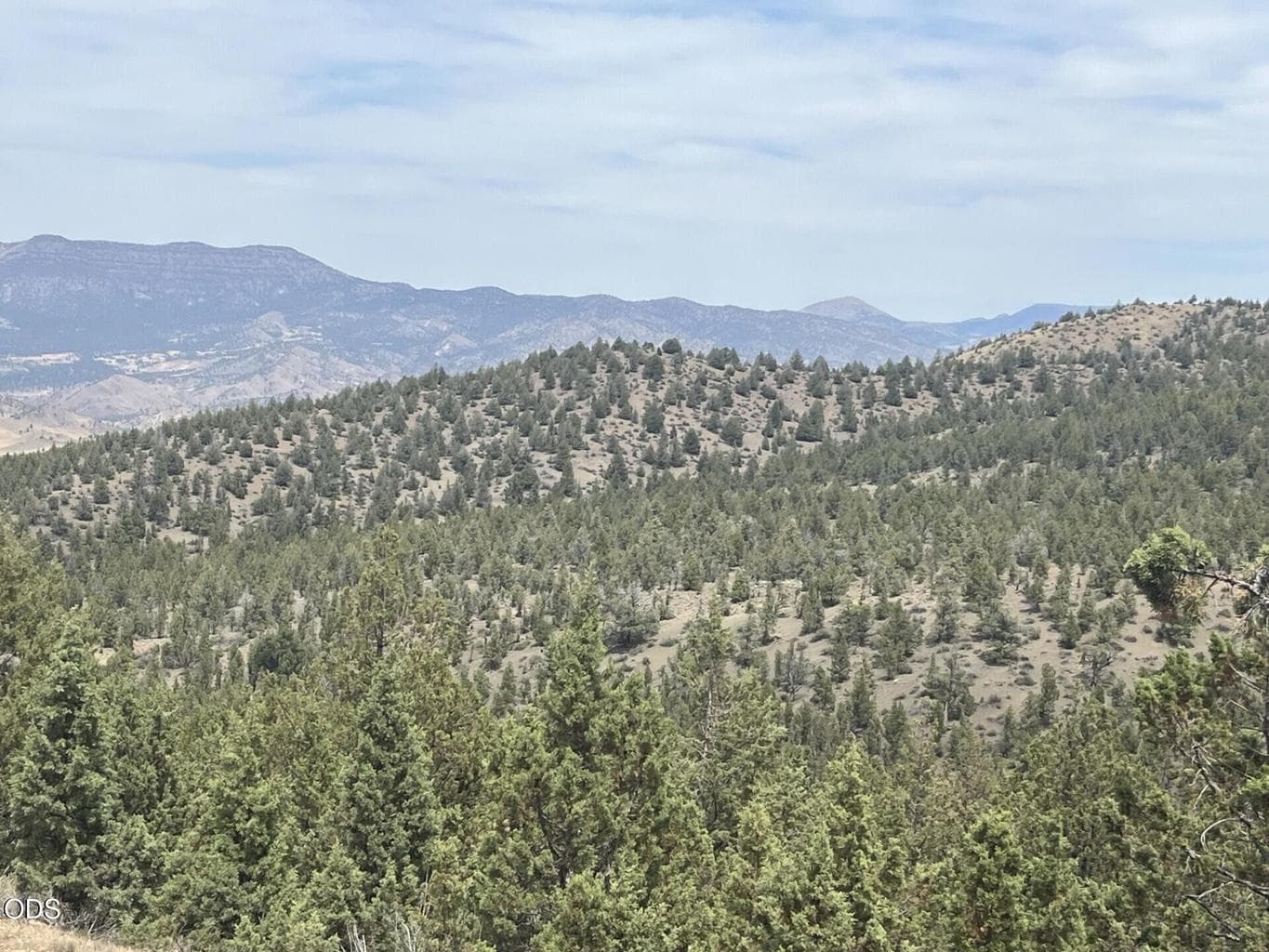 Photo of TL 1314 Blackbutte Way 3 of 9