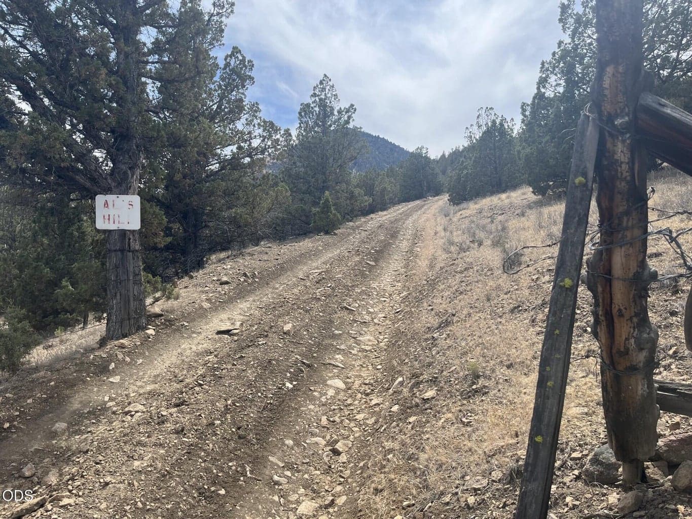 Photo of TL 1314 Blackbutte Road 9 of 9