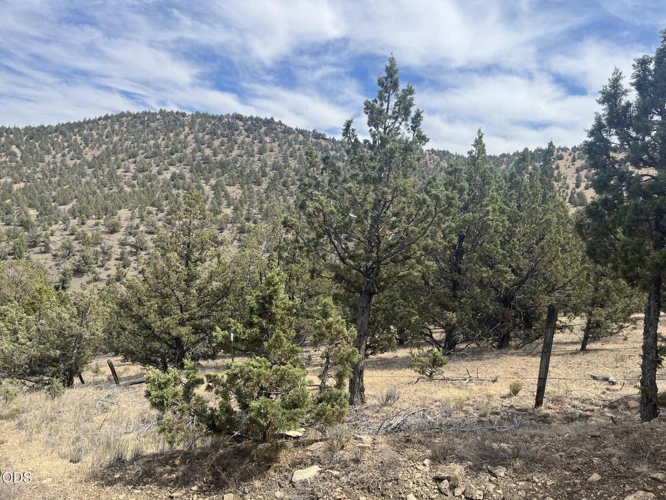 Photo of TL 1314 Blackbutte Road 7 of 9