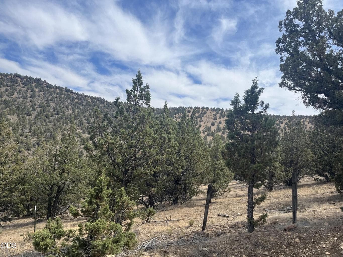 Photo of TL 1314 Blackbutte Way 2 of 9
