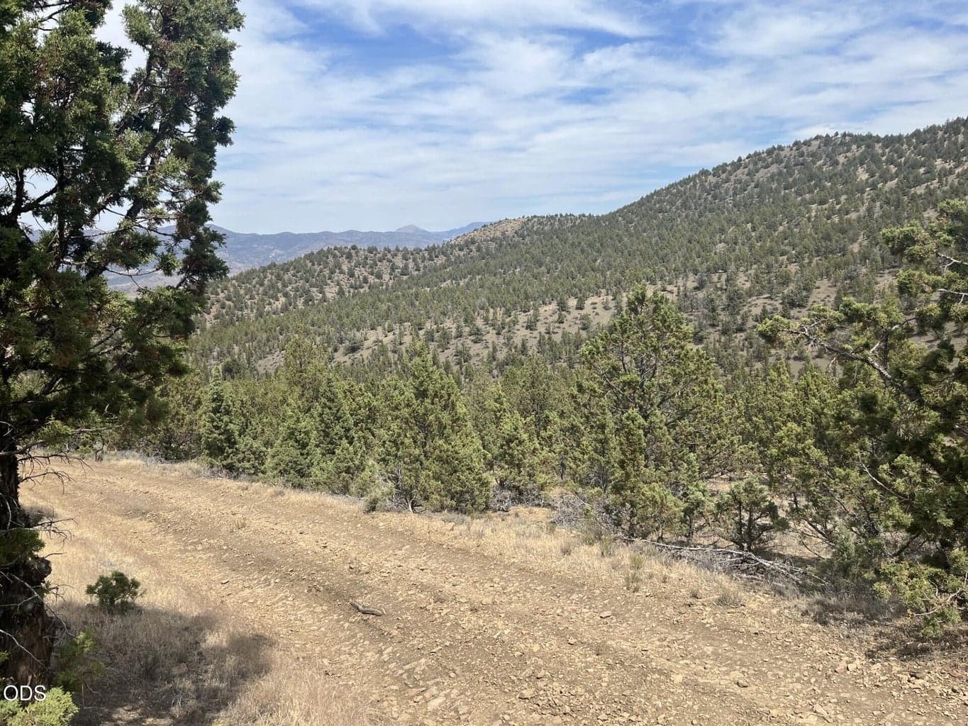 Photo of TL 1314 Blackbutte Road 6 of 9
