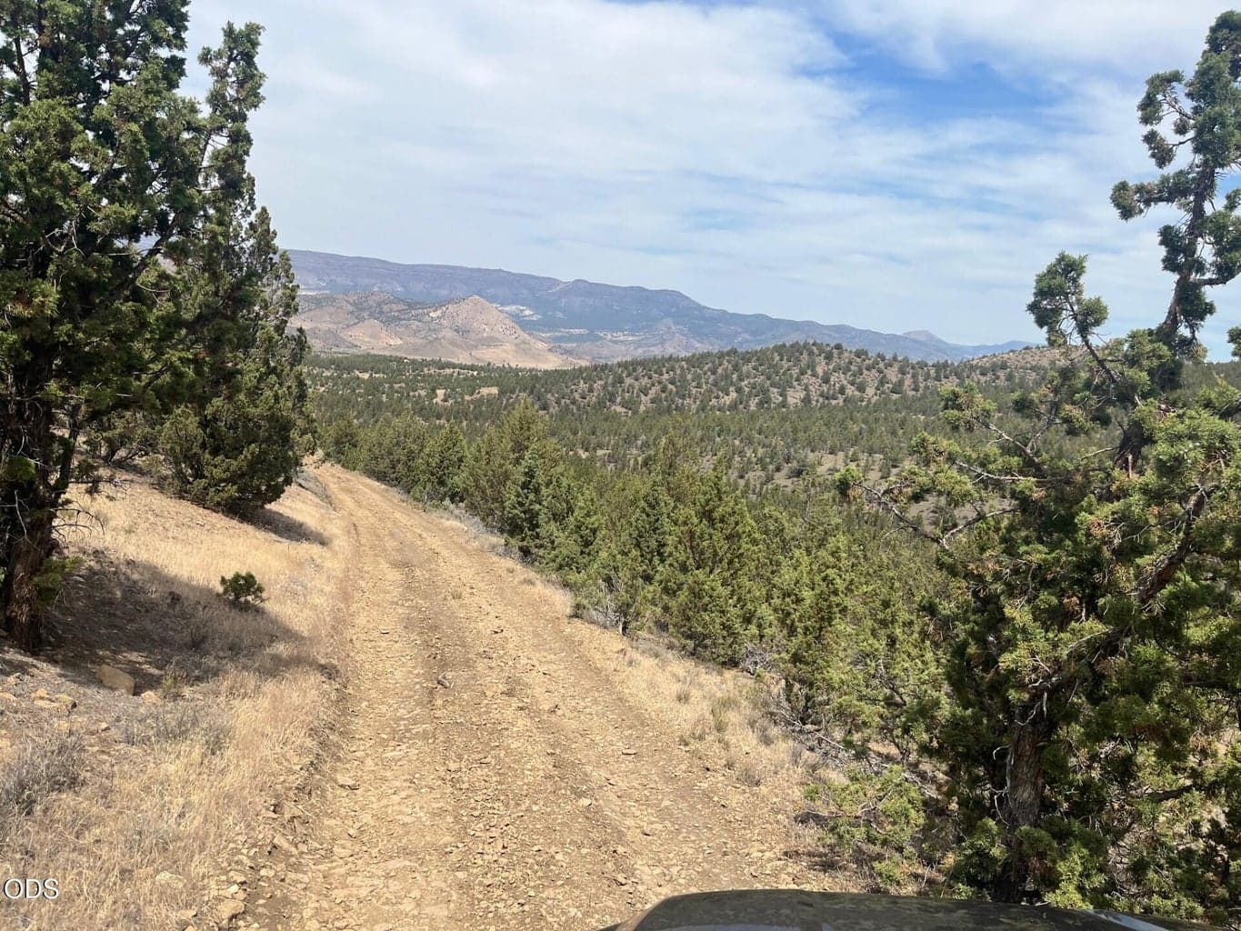 Photo of TL 1314 Blackbutte Way 4 of 9