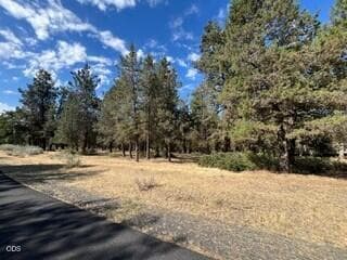 Photo of 0 Osprey Lane 2 of 4