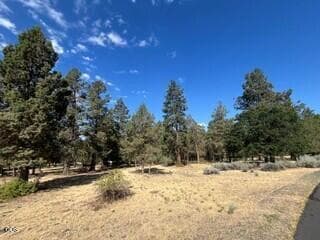 Photo of 0 Osprey Lane 3 of 5
