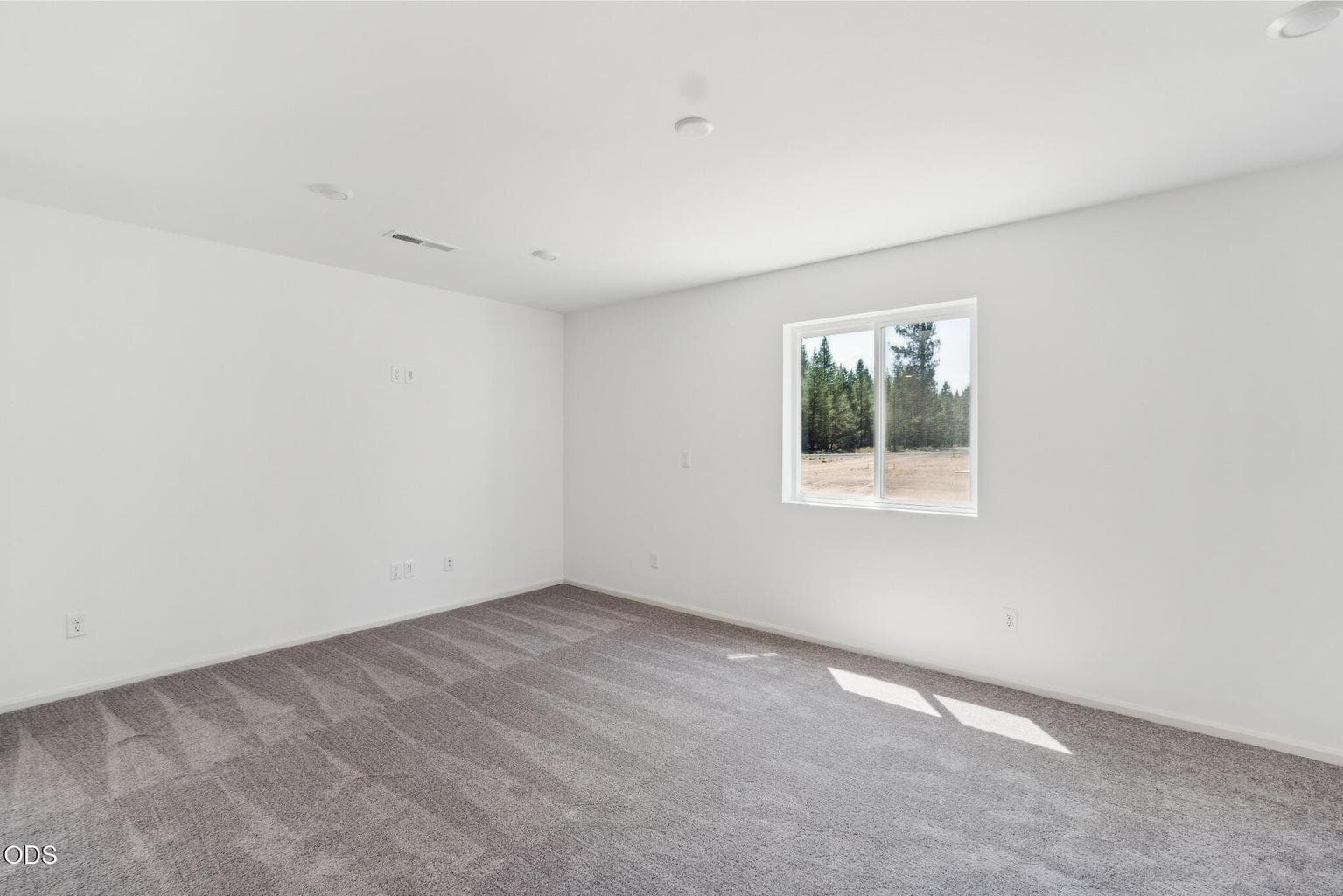 Photo of 16665 Cottage Pine St 5 of 24