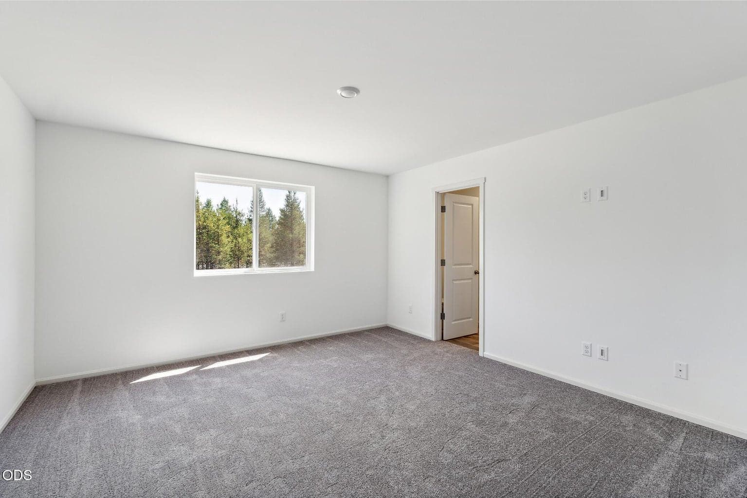 Photo of 16665 Cottage Pine St 20 of 24