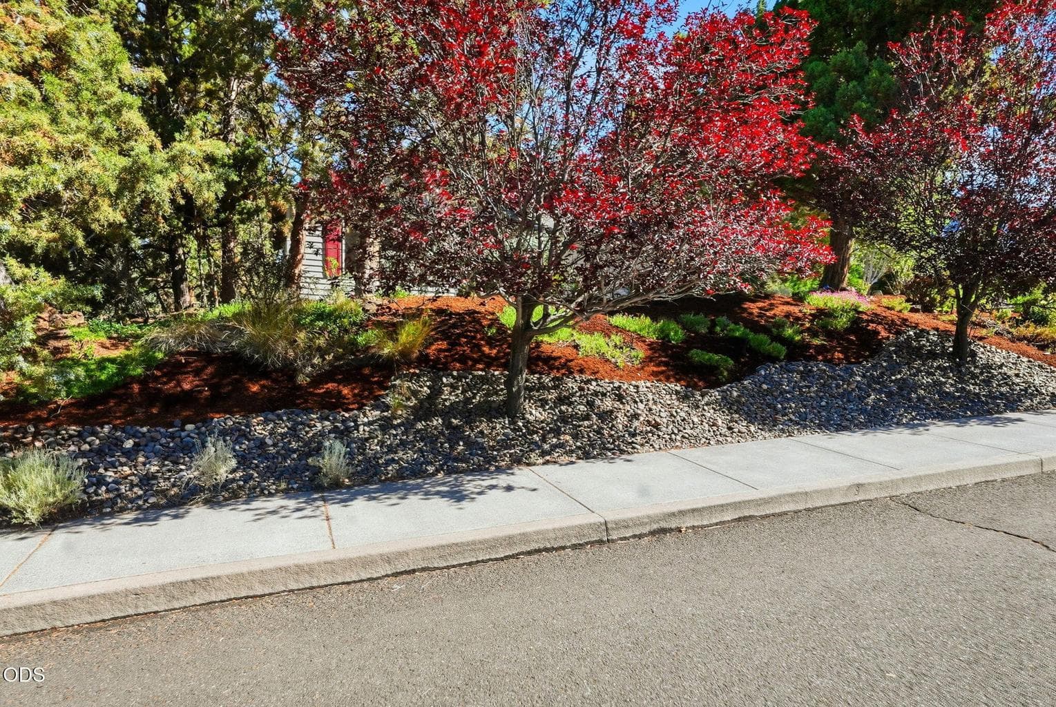 Photo of 2058 Hollow Tree Lane 3 of 41