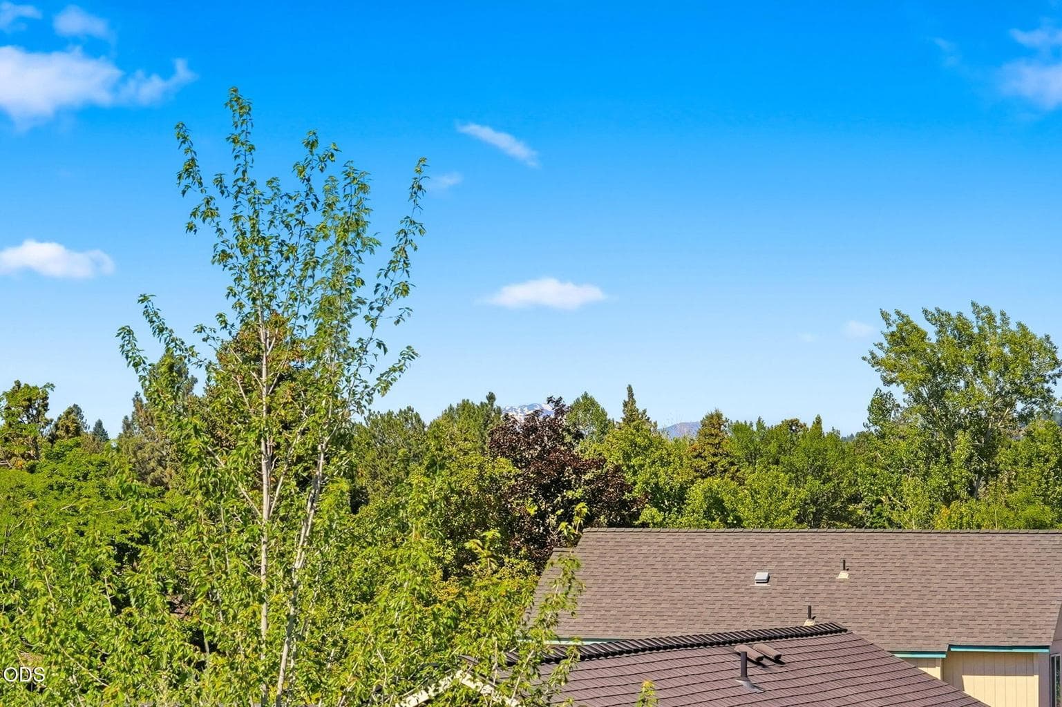 Photo of 2058 NE Hollow Tree Lane 22 of 41