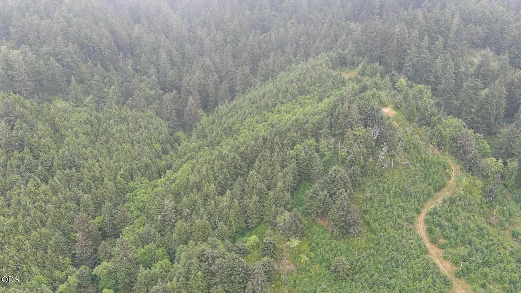 Photo of 960 Bayview Loop 2 of 23