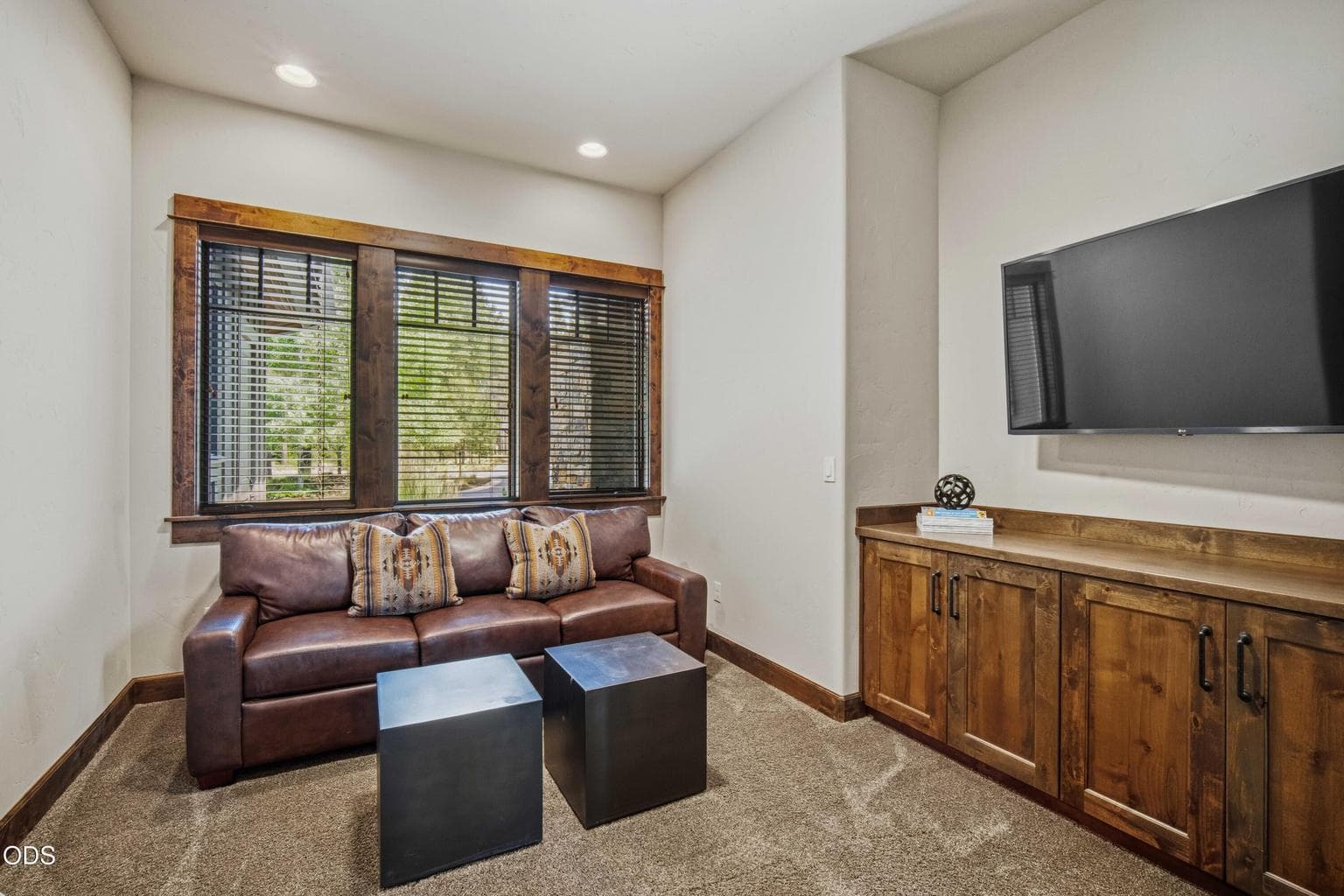 A comfortable den or media room offers a quieter gathering space with built-in cabinetry, warm trim, and filtered views through the trees.