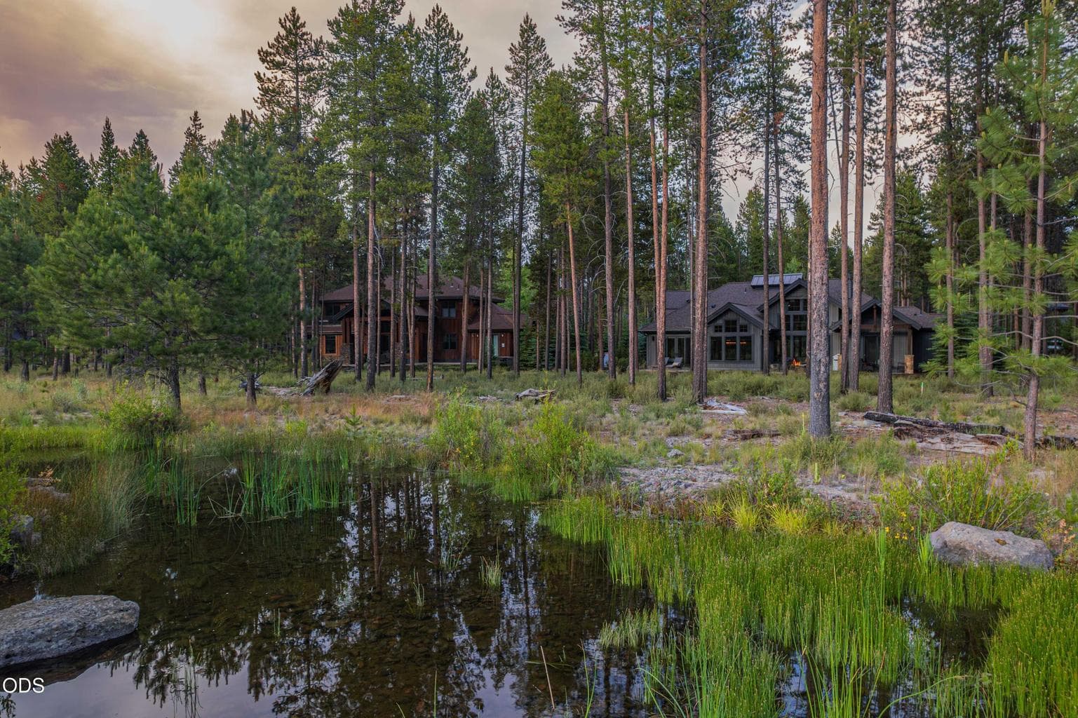 This is the irreplaceable setting: spring-fed water, mature ponderosa pines, protected open space, and a home positioned to quietly belong within it.