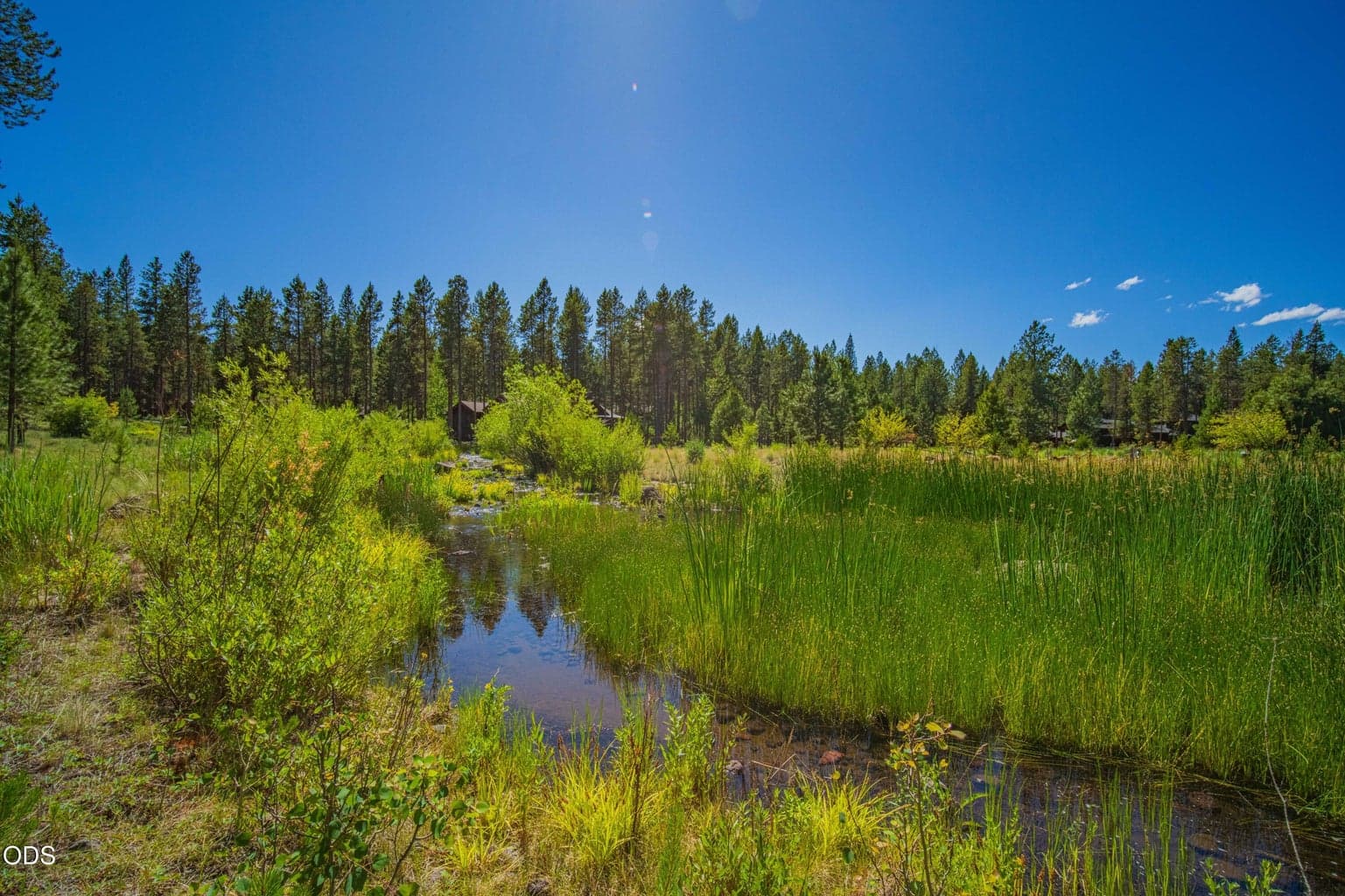Caldera Springs’ namesake spring-fed corridor creates a peaceful natural environment unlike any other, with flowing water, native grasses, and abundant High Desert beauty.