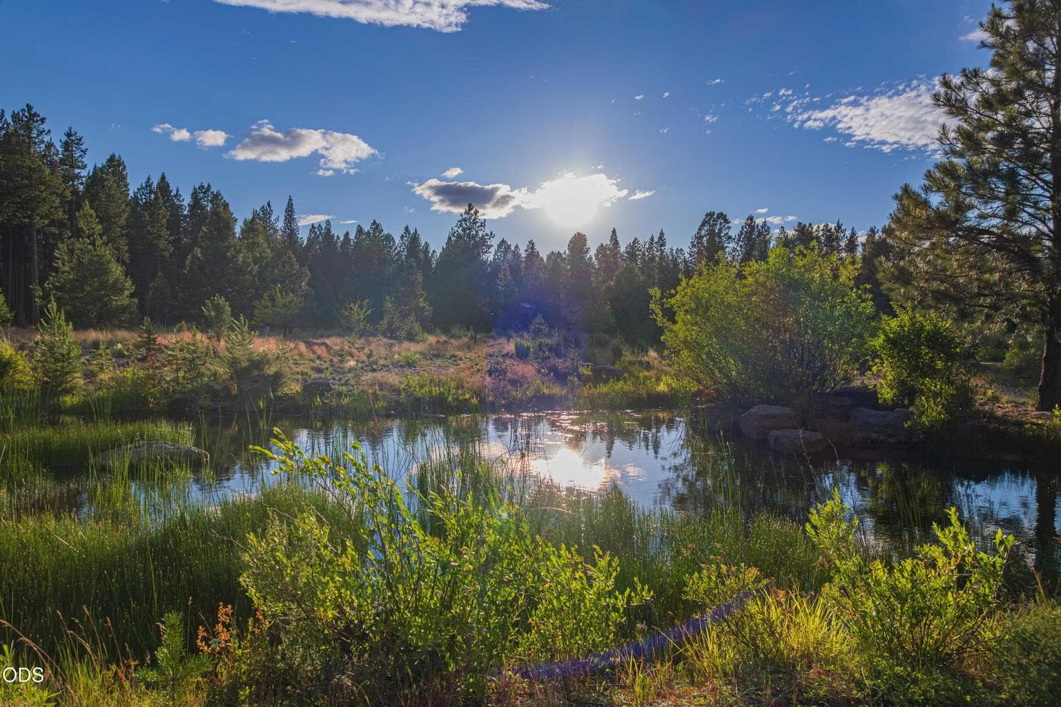 Sunlight reflects across the spring-fed water, capturing the rare natural beauty and sense of quiet that make this location so exceptional.