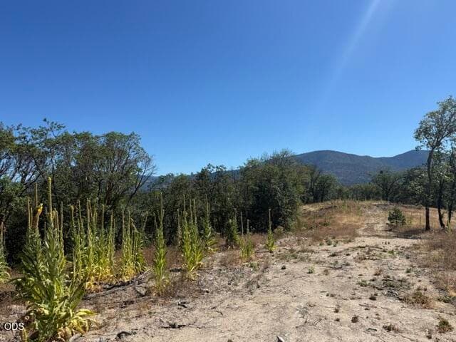 View from homesite to Garage