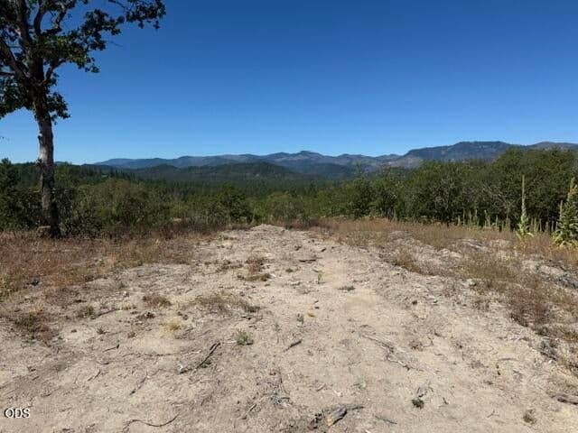 360 Degree Views