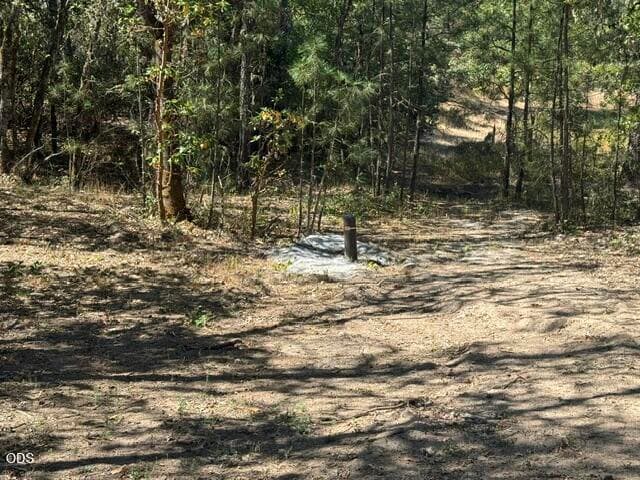 Photo of Merlin Sanitarium Road 5 of 13