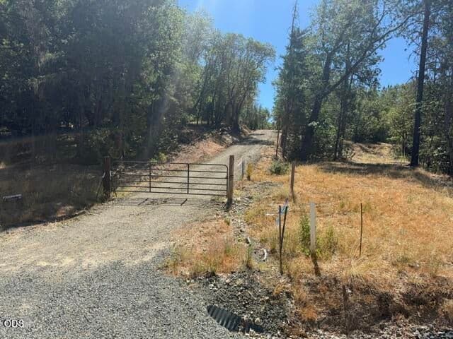 Photo of Merlin Sanitarium Road 2 of 4
