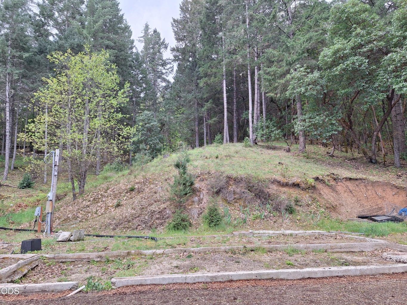 Photo of 1771 Sleepy Hollow Loop 2 of 11
