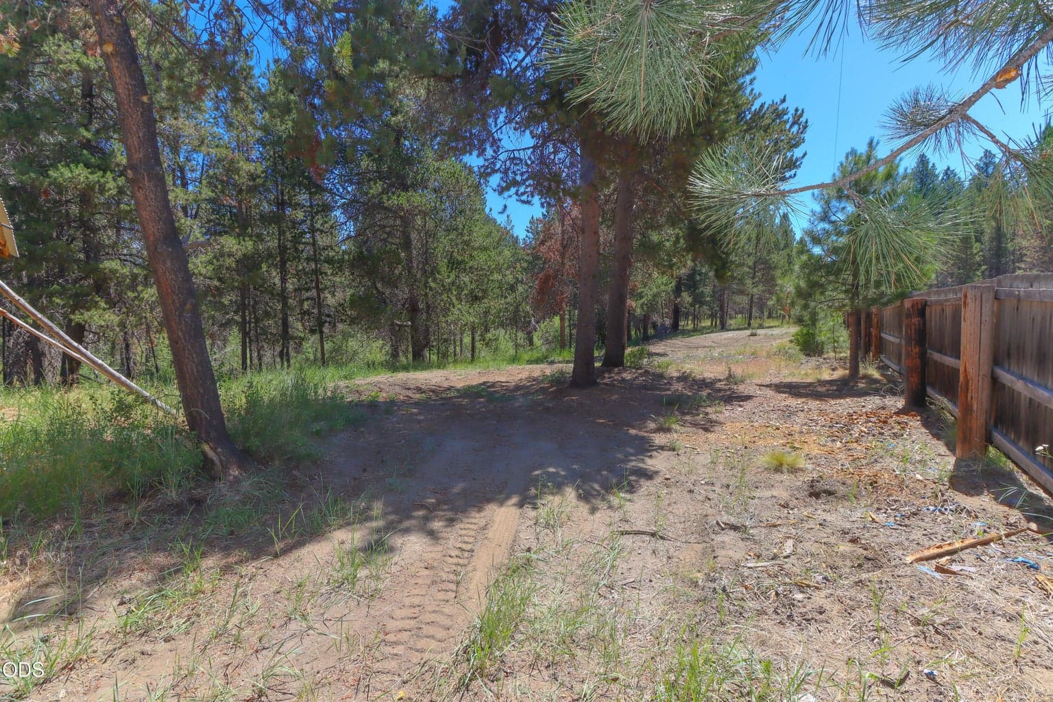 Back Area of Acreage