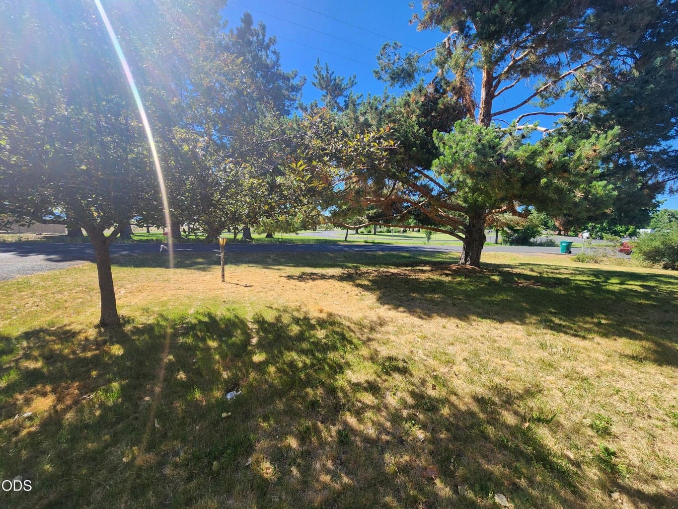 Front yard from front door