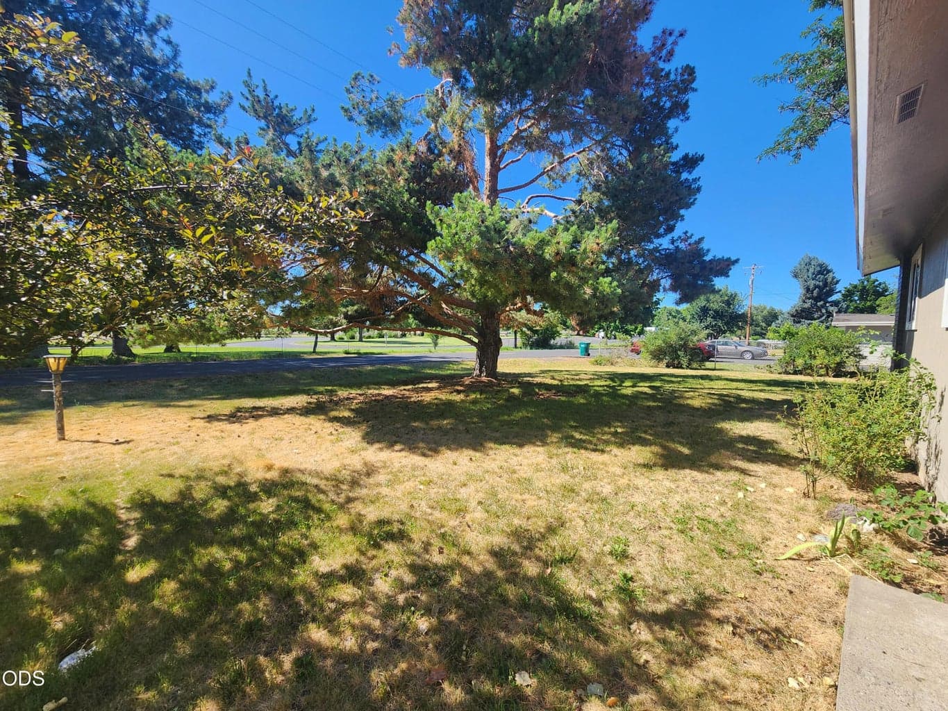 Front yard from front door
