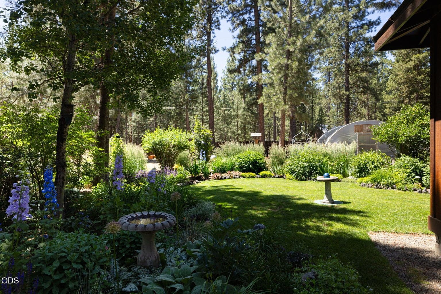 Photo of 51889 Pine Loop Drive 3 of 57
