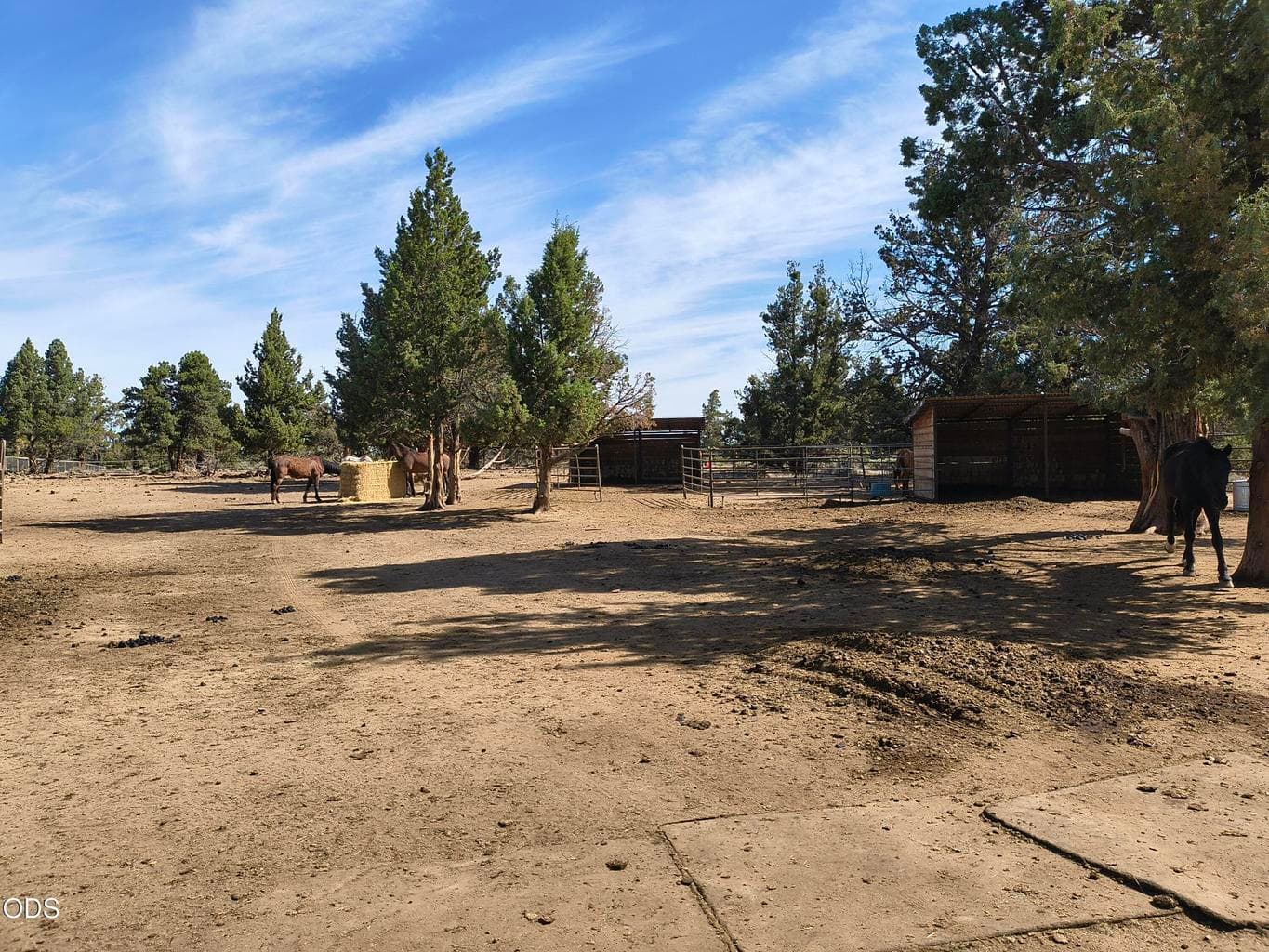 Photo of 23055 Timland Lane 11 of 17
