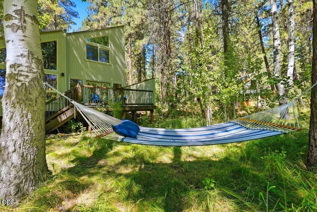 Backyard Bliss