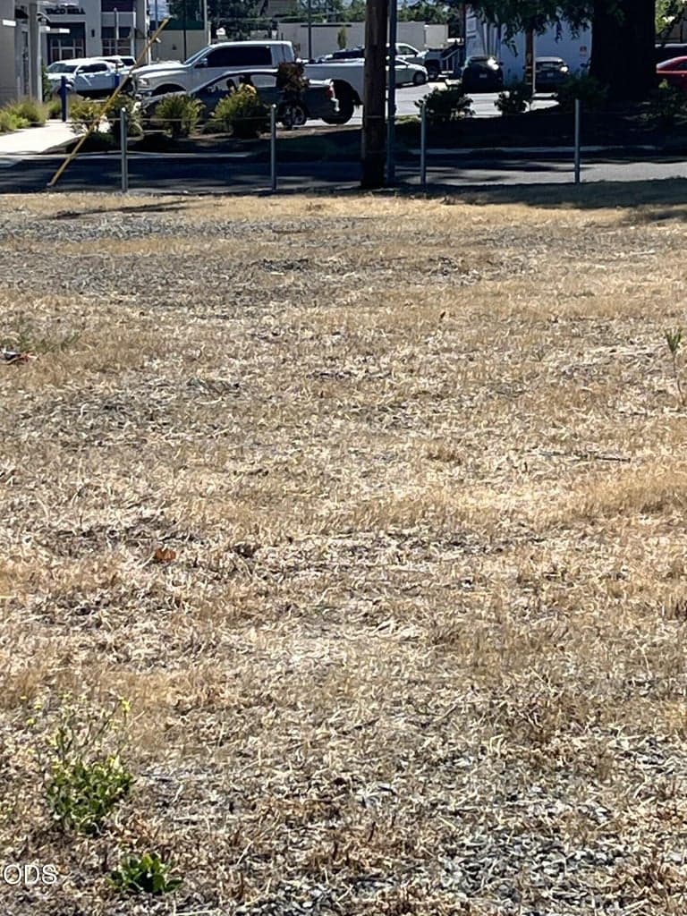 Photo of 2535 Main Street 2 of 5
