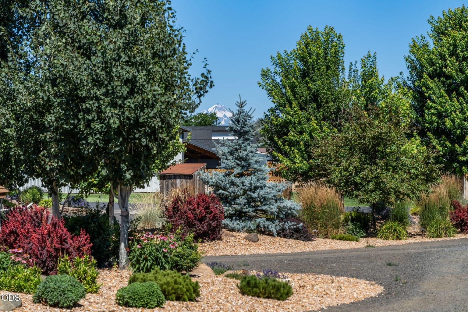 Photo of 4137 39th Drive 5 of 47
