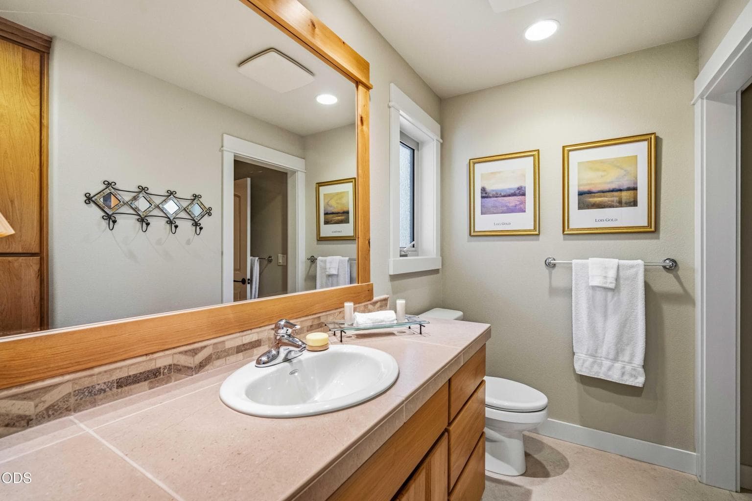 This private vanity and toilet area serves the lower-level bedroom currently used as an office. It provides ensuite-style privacy while connecting through the shared shower to the separate hall guest bath on the opposite side.
