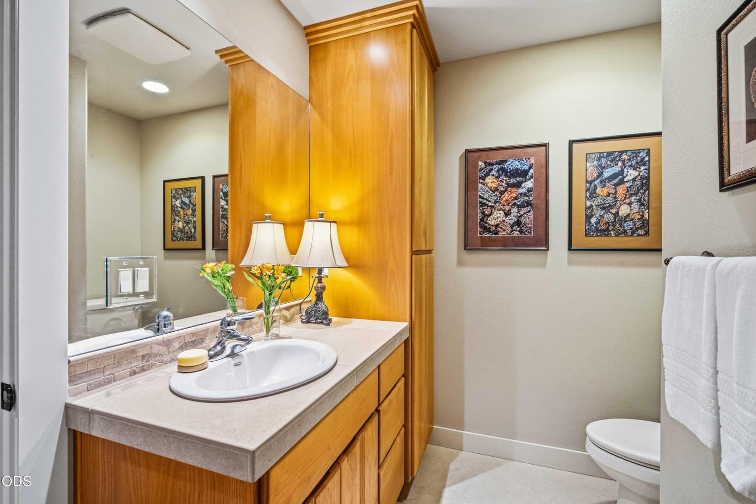 On the opposite side of the shared shower, the hall guest bath includes its own vanity, toilet and storage. This arrangement serves the library and lower-level living areas while preserving a separate private bath zone for the adjoining bedroom suite.