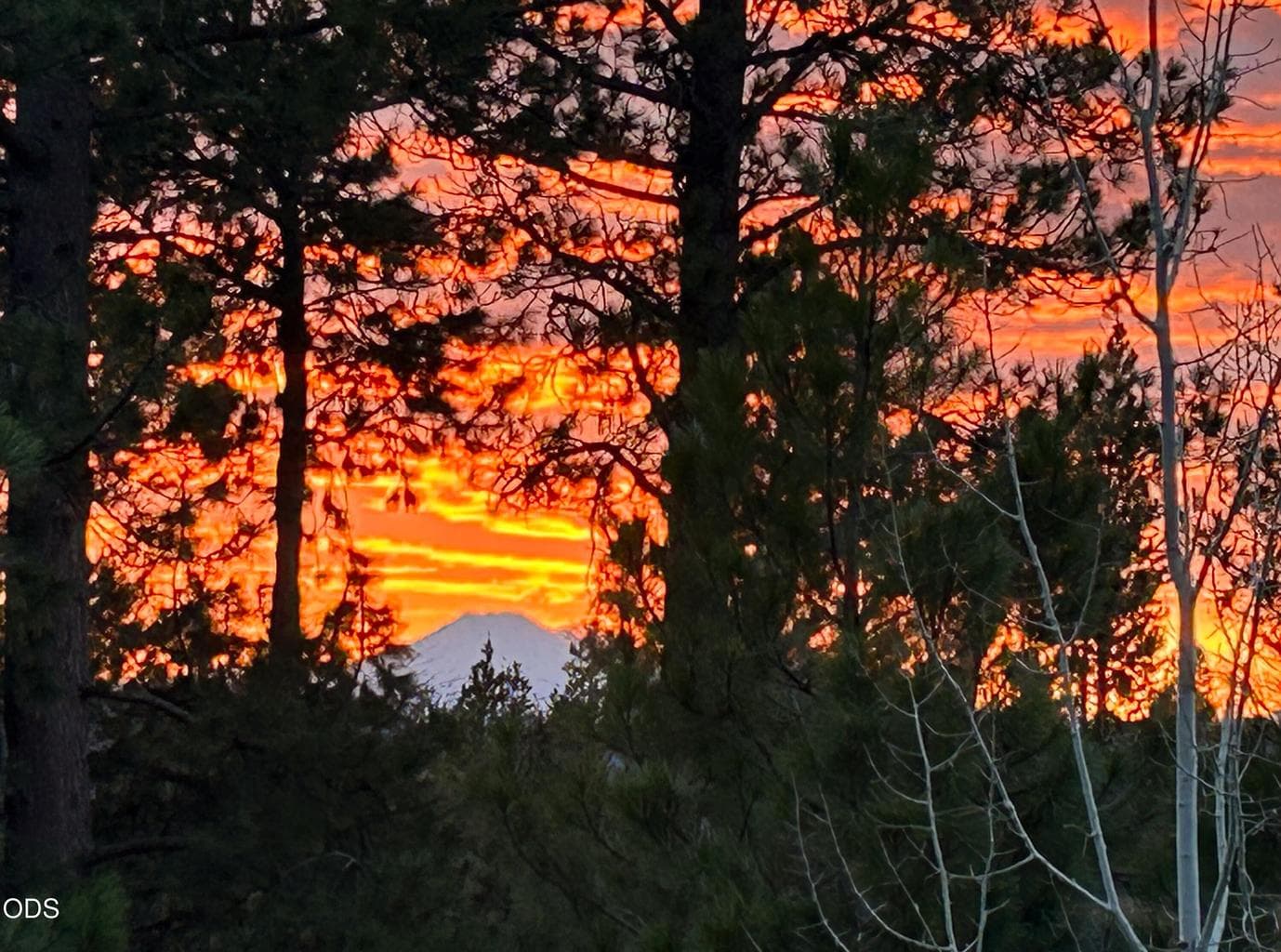 “Seller-provided image capturing Mt. Bachelor at sunset, one of the memorable and ever-changing views enjoyed from the property.
