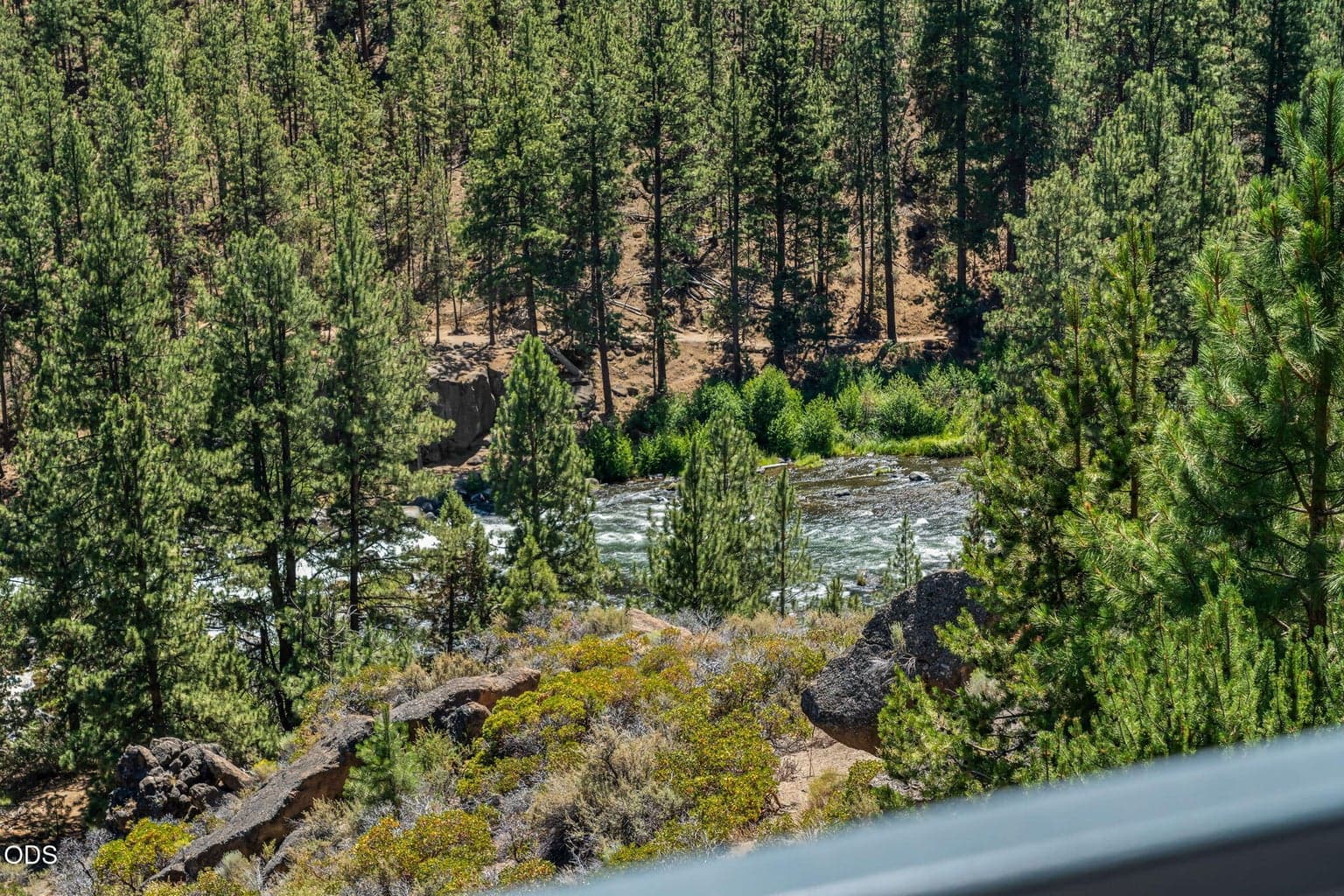 Views from the deck
