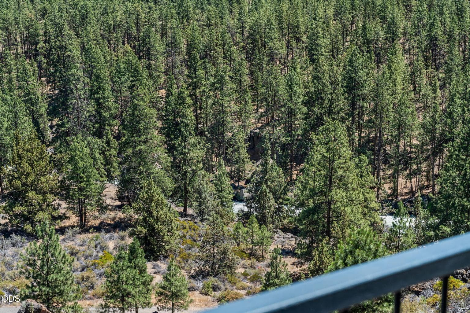 Photo of 19717 SW Mount Bachelor Drive 40 of 47