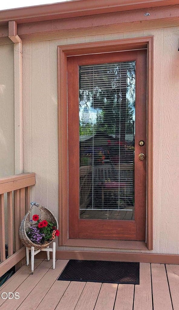 Full light front door