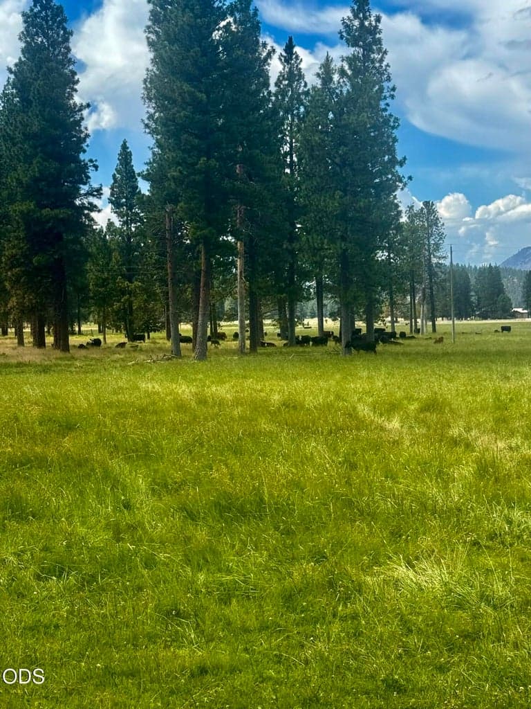 Photo of 10612 Old Fort 4 of 29