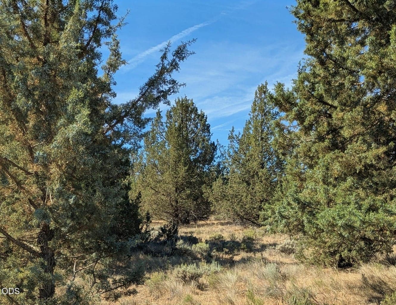 Photo of Wheatgrass Road 2 of 10