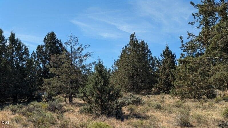 Photo of Wheatgrass Road 3 of 10