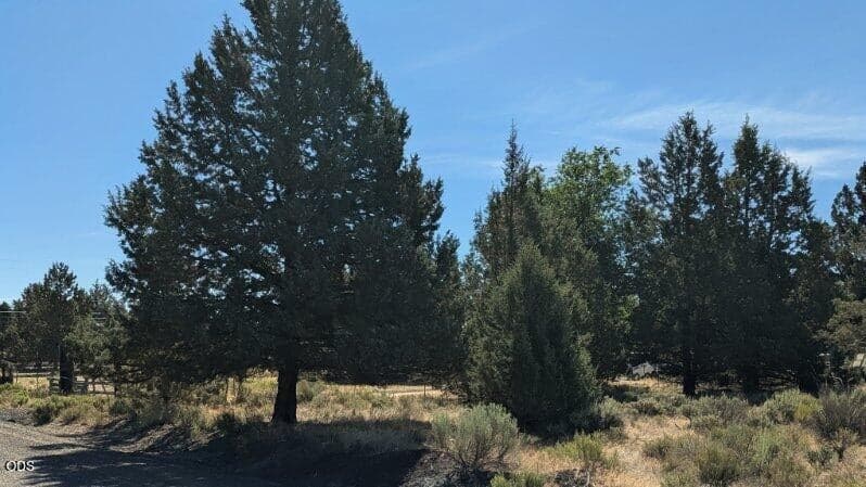 Photo of Wheatgrass Road 4 of 10