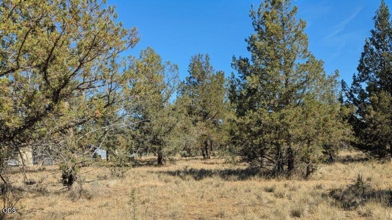 Photo of Wheatgrass Road 5 of 10