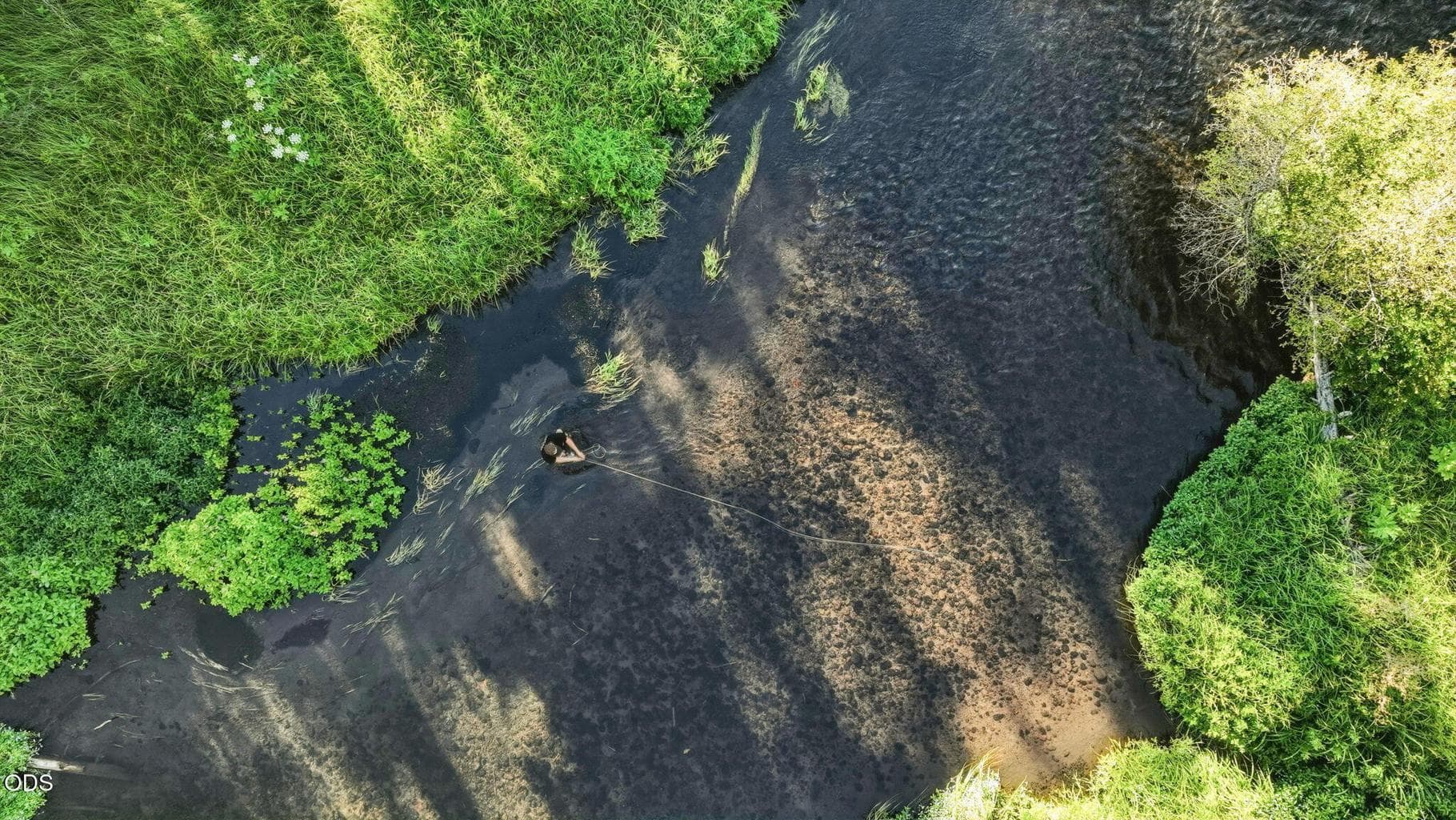 Fly fishing on Lake Creek