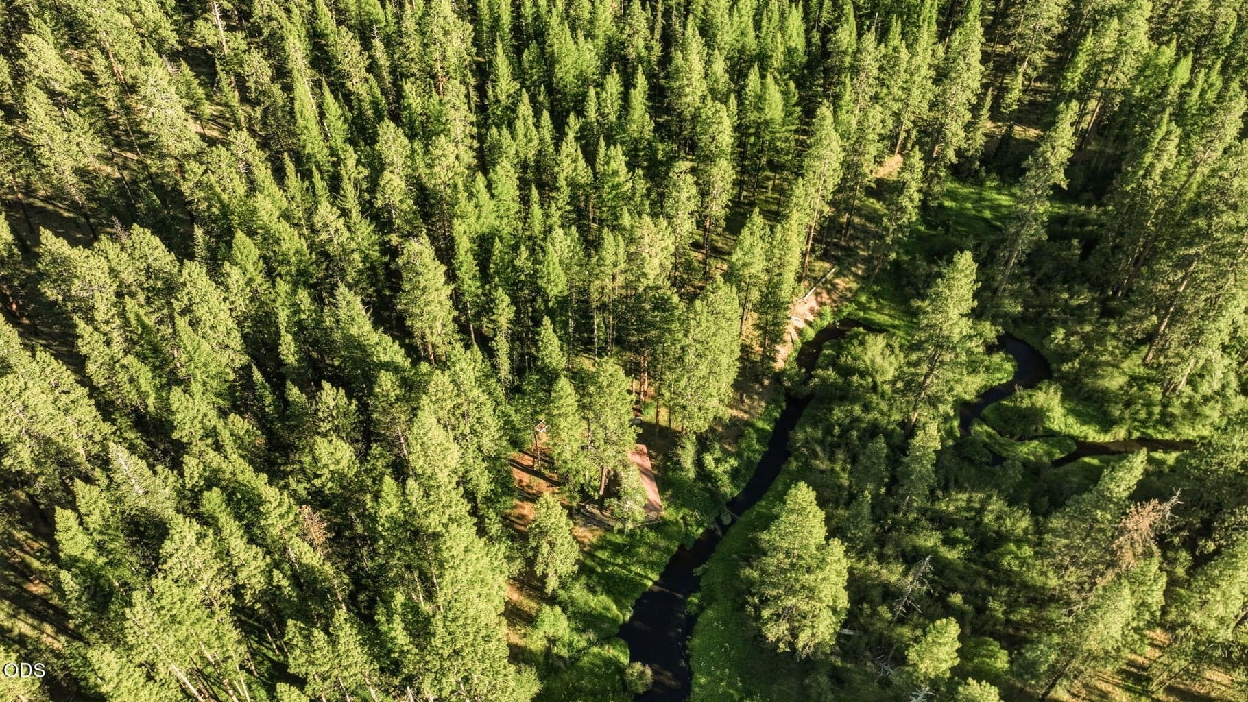 Island Springs Ranch | From Above