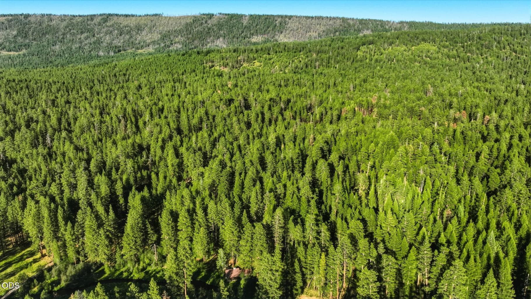 Deschutes National Forest