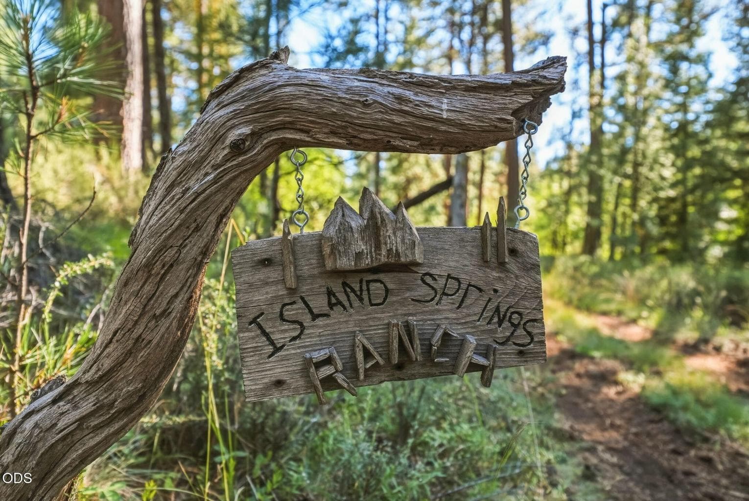 Island Springs Ranch | Entrance