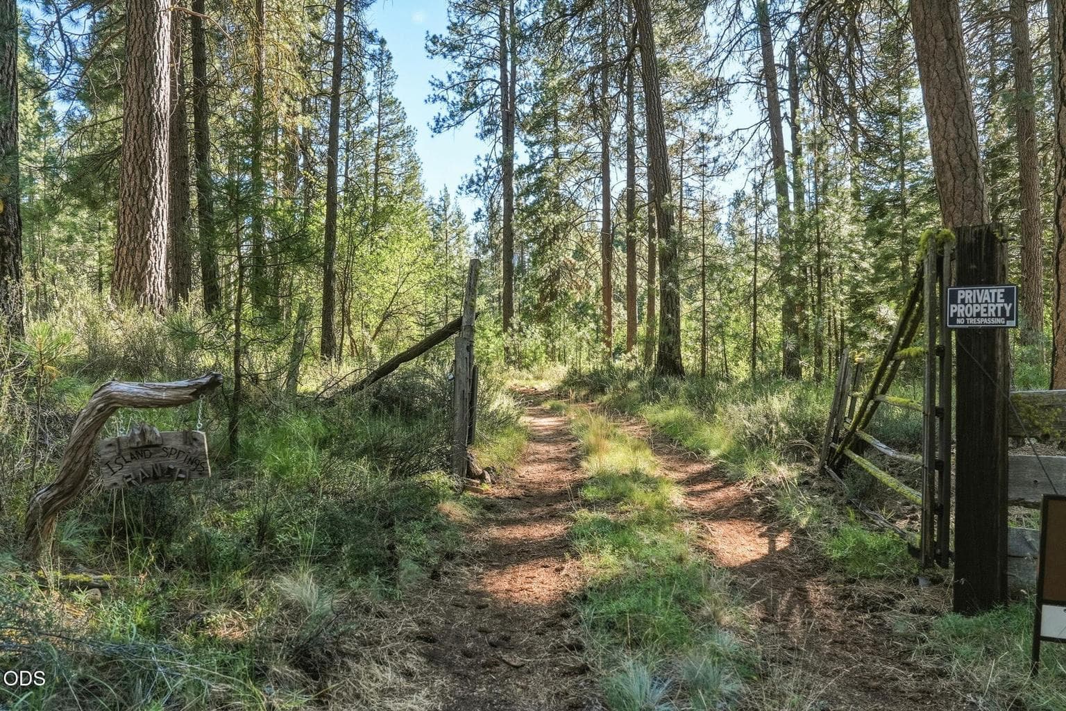Island Springs Ranch | Driveway