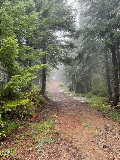 Photo of 0 Forest Road 2820 2 of 14