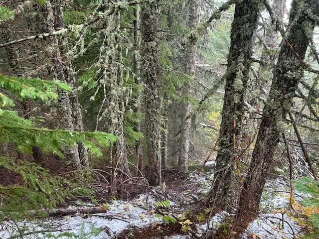 Photo of 0 Forest Road 2820 3 of 14