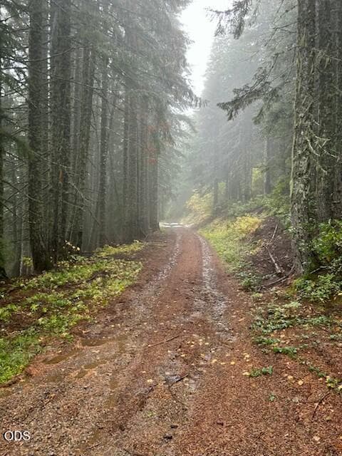 Road to the property