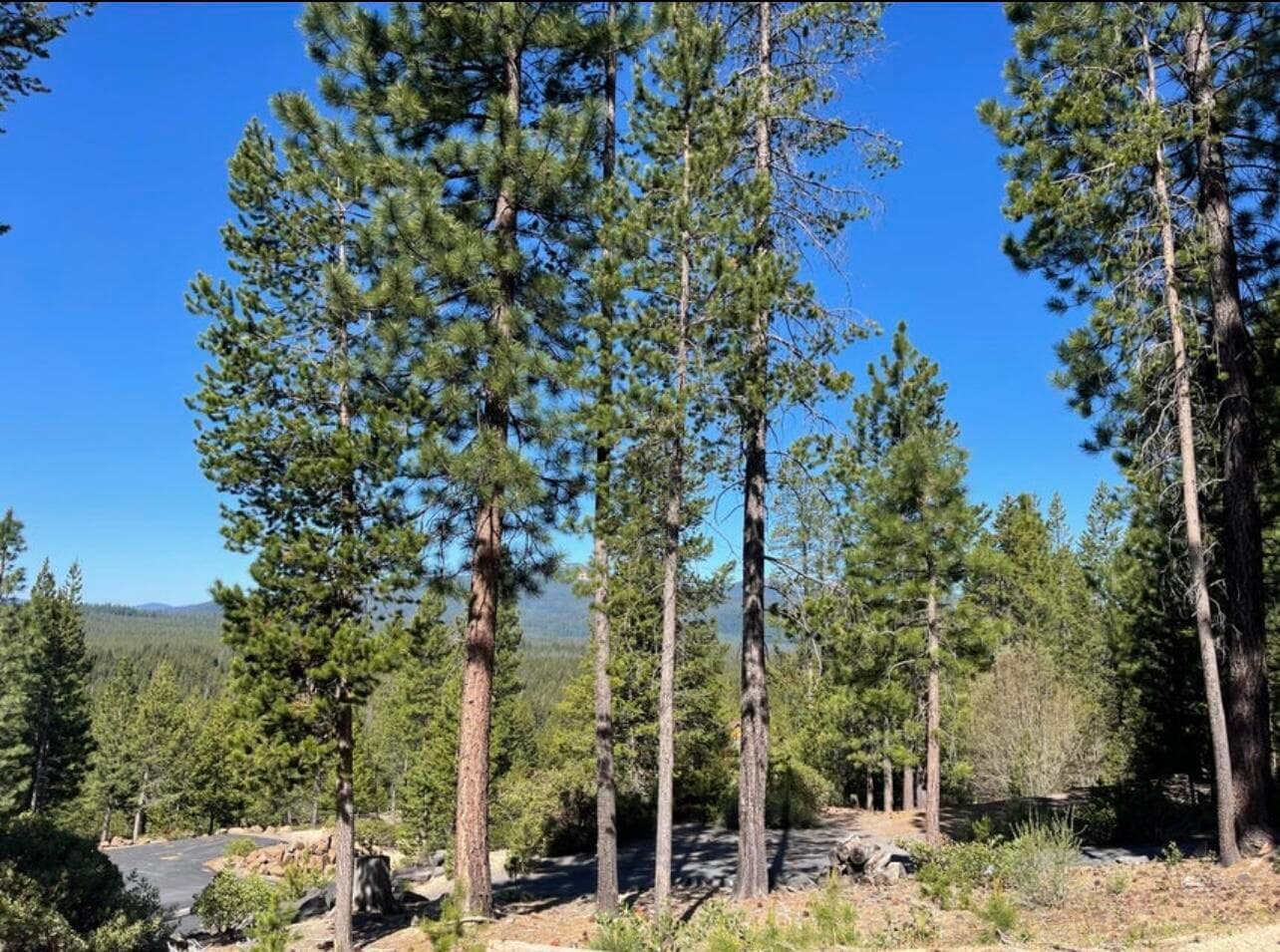 Photo of 18915 Alpine Breeze Way 2 of 4